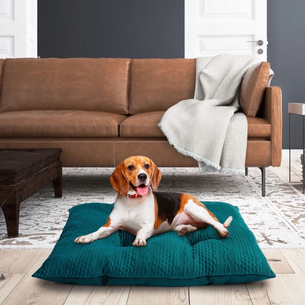 Dog bed